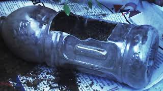 Vertical Gardening With Chilli Plant In Plastic Bottle