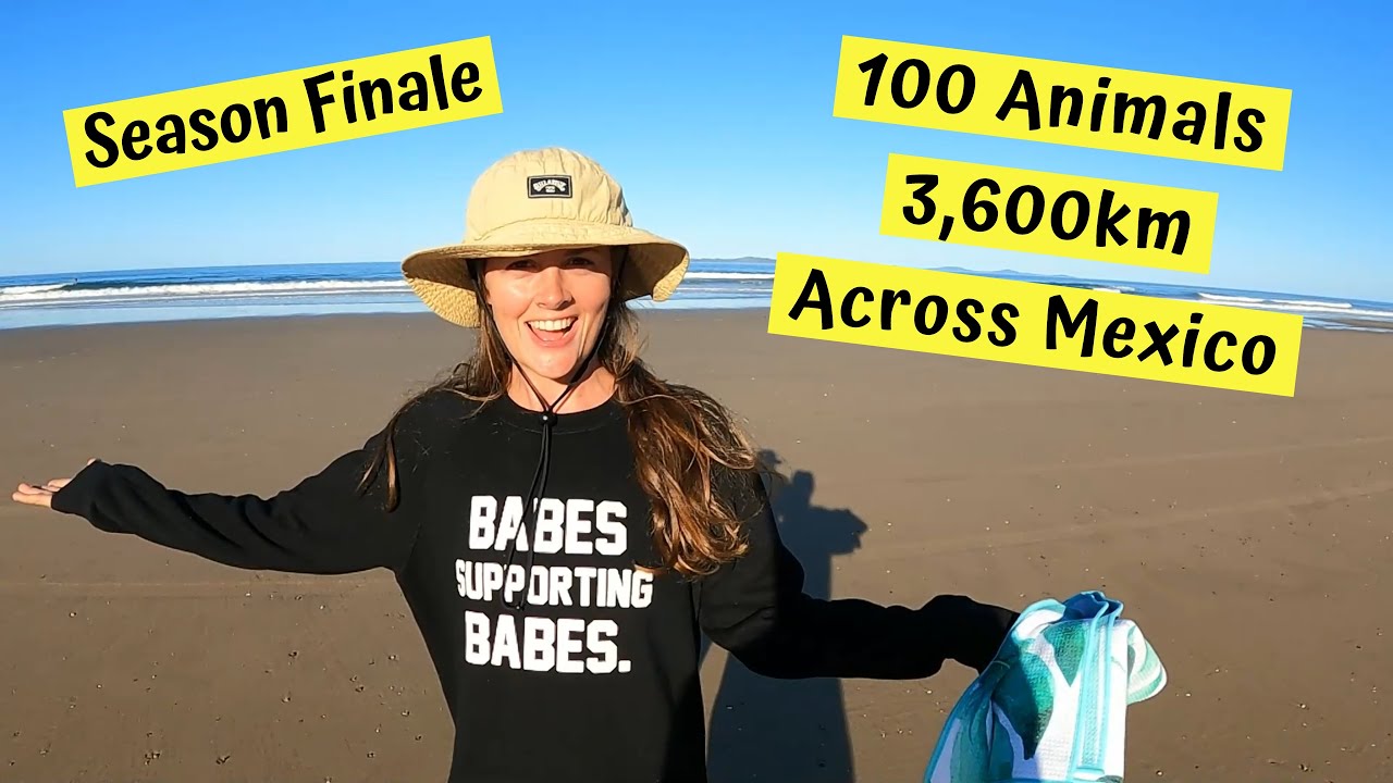 3600km Vet Van Road Trip : Chuffed Adventures Season Finale!