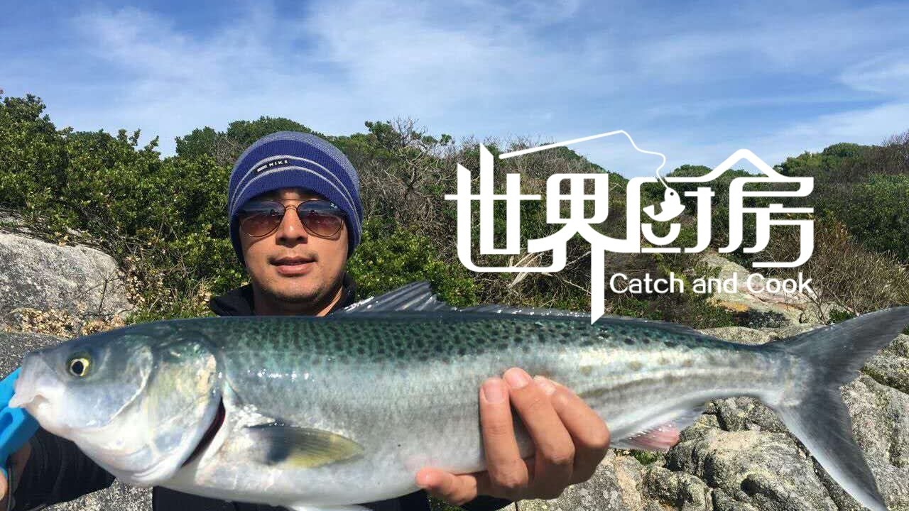 野外钓获澳洲三文鱼，营地生火来烧烤 Australia Salmon catch and cook in Tasmania - YouTube