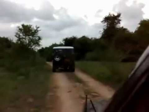 Wildlife Safari Tours, Sri Lanka