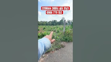 Kim long châu Đức BRVT #bbds #batdongsan #tintucbds #automobile