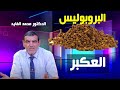 ما هو عكبر النحل البروبوليس و ما هي فوائده التي نجهلها و كيف يستخرج الدكتور محمد الفايد