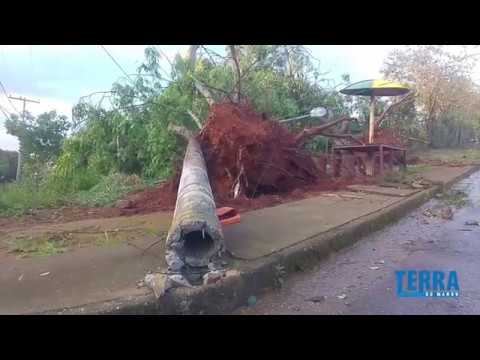 Ventos fortes causam estragos em Pouso Alegre - MG