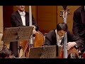 Mahler Symphony No1, 3.Mov. Double Bass Solo Ivan Kitanović