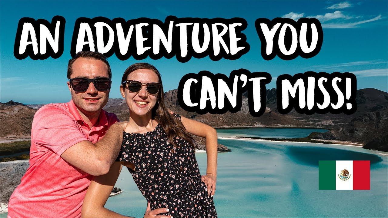 BEST THING to Do in LA PAZ Mexico l Snorkelling with SEA LIONS YouTube