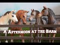 Silver Star Stables - S03 E04 - A Afternoon at the Barn |Schleich Horse Series|