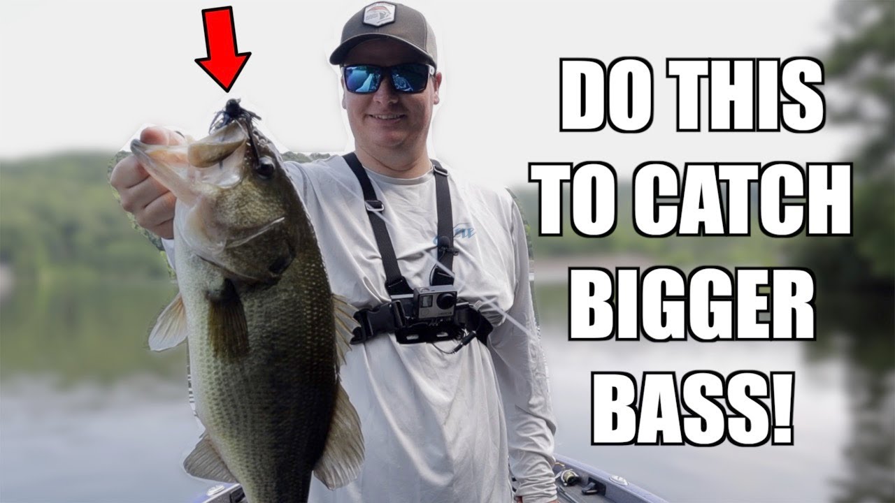 Jig Fishing Tips to Catch BIGGER Bass! (Bass fishing tips) YouTube