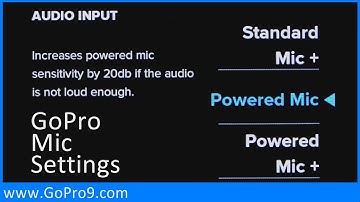 GoPro Mic Input Media Mod & Pro 3.5mm Mic Adapter External Microphone Audio Menu Settings Explained