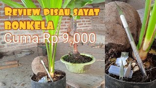 Pisau sayat bonsai kelapa dengan harga murah