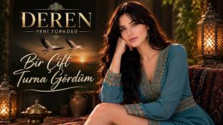 Bir Çift Turna Gördüm - Turkish Folk Cover