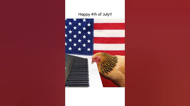 Funny Chicken Plays "Star Spangled Banner" on Piano!