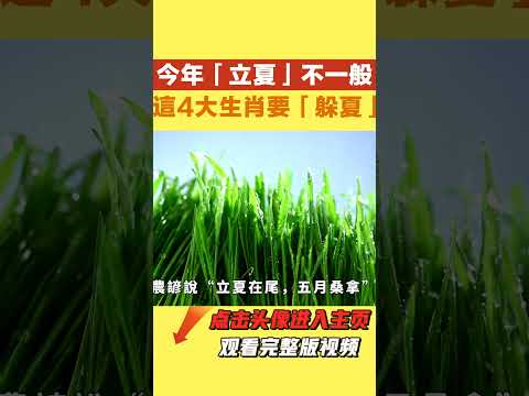 今年「立夏」不一般！5月5日「立夏」，這4大生肖要「躲夏」，你上榜了嗎？【國學天地】#立夏#生肖#运势 #风水 #2024年