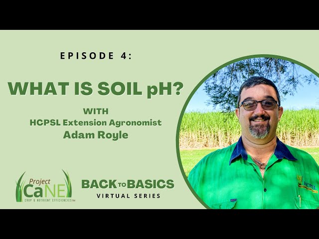 The Four Things You Need to Know About Soil pH - FineGardening