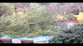 Weather Damage.Doylestown 18901: Bucks County, PA: orserlandscaping.com