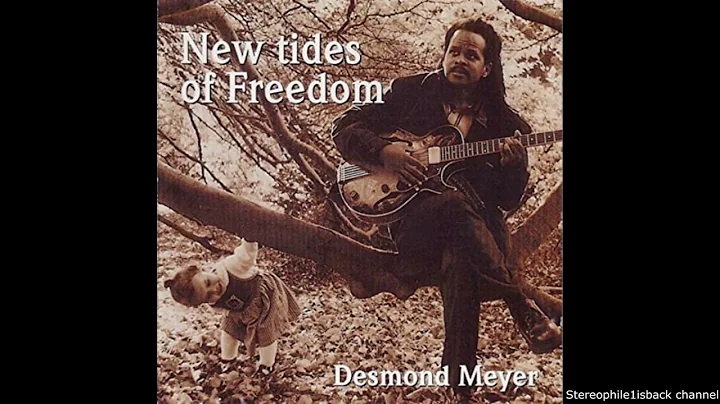 Desmond Meyer - New Tides of Freedom