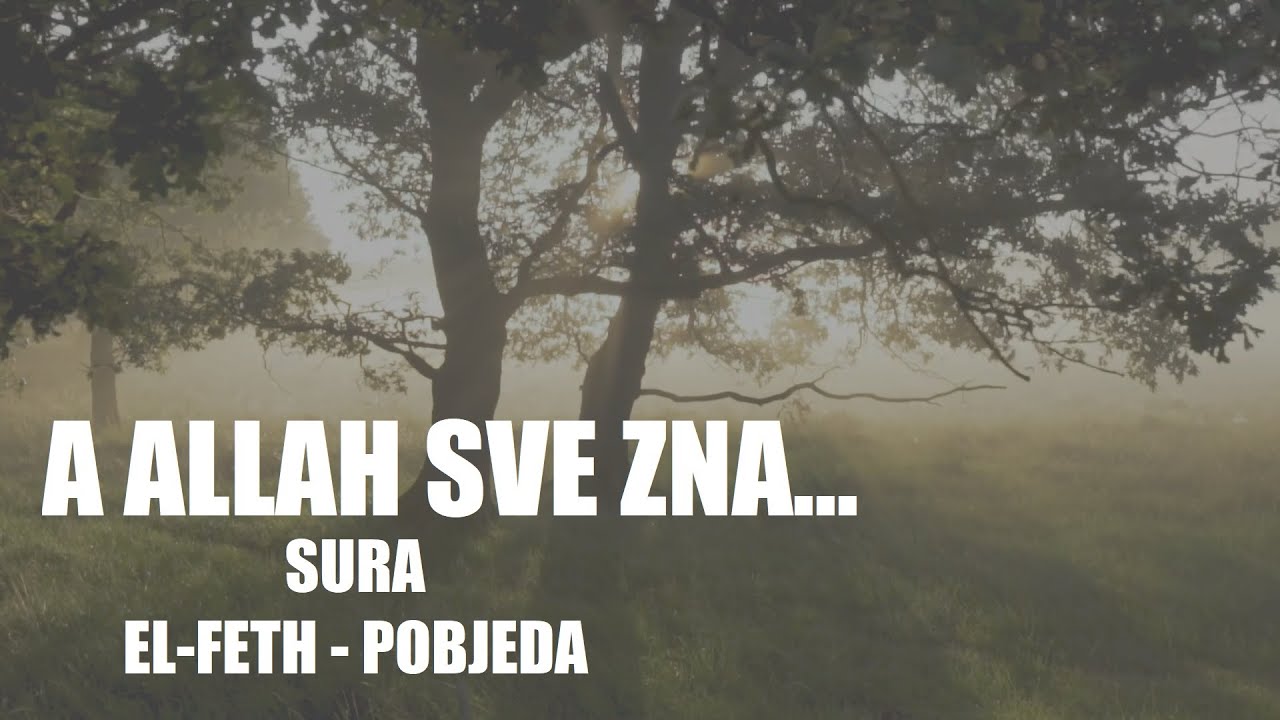 Sura 48. El-Feth - Pobjeda (Bosanski)┇ᴴᴰ┇Mishary Rashid Alafasy