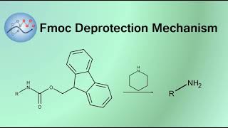 Deprotecting Fmoc Group Mechanism | Organic Chemistry