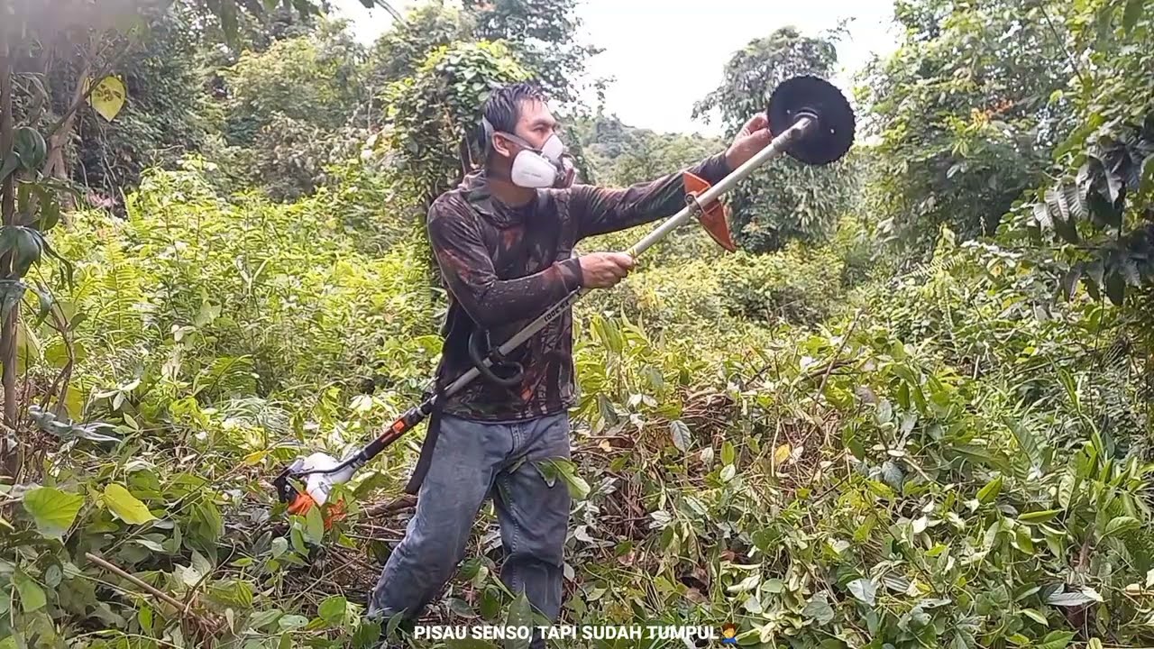 Part 7‼️Melanjutkan Potong Rumput Menggunakan Mesin Rumput STIHL FS 3001 Di Kebun