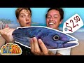 Sri Lankan TUNA Only $2.50 | Budget Chef vs Pro Challenge | Budgeteers Bitesize