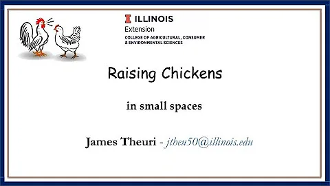 Raising Chickens in Small Spaces - DayDayNews