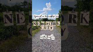 a fun sunday in nyc! #nyc #newyork #birdwatching #dayinmylife #foryou #trending