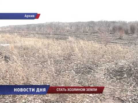 О проблемах регулирования земельных отношений