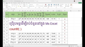 របៀបប្រើរូបមន្តរាប់ចំនួន Countif នៅក្នុង Ms Excel