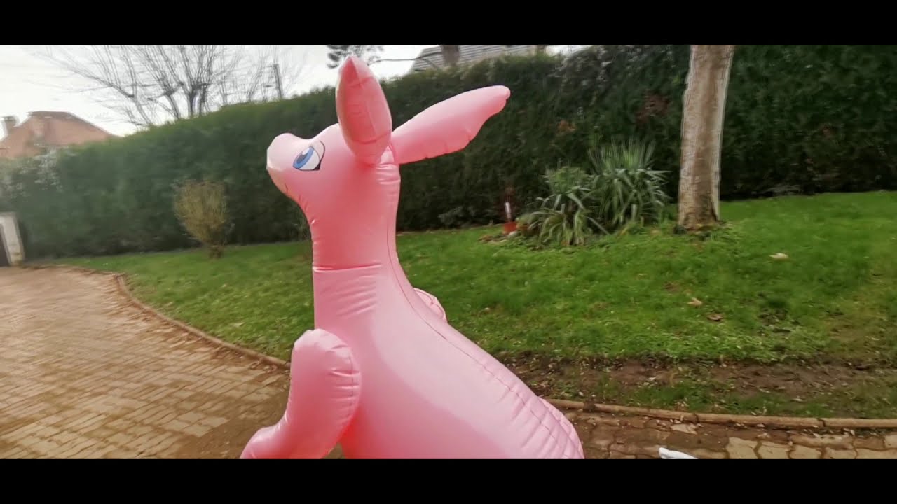Inflatable pink kangaroo horseplayYear of manufacture: 2018165 cm hauteur h...