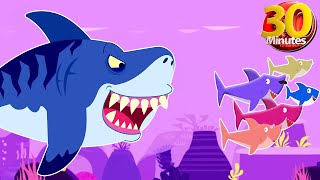 Download Lagu Megaldon Hunt Baby Shark Family 30 Min | + Compilation | Baby Shark Remix | Momonico MP3 Download Lagu Megaldon Hunt Baby Shark Family 30 Min | + Compilation | Baby Shark Remix | Momonico MP3