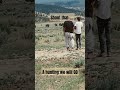 A Hunting we will go!