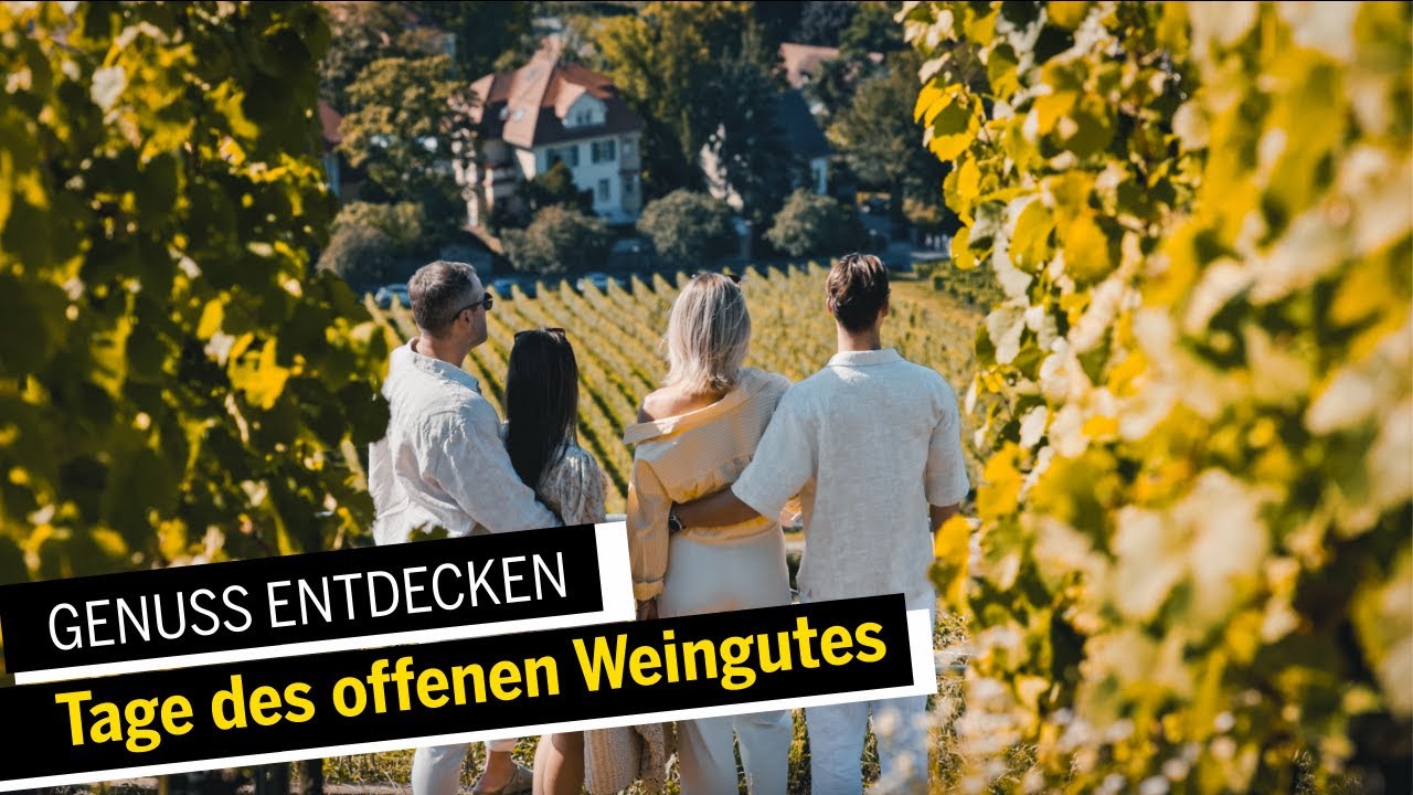 Das waren die Tage des offenen Weingutes 2025 🍷