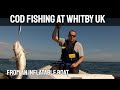Sea Fishing - Jigging for Cod at Whitby UK -  in a Honda Honwave Inflatable Boat - GoPro