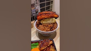 You need to try these massive unagi dons in Osaka