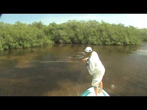 Cancun fly fishing with Enrique