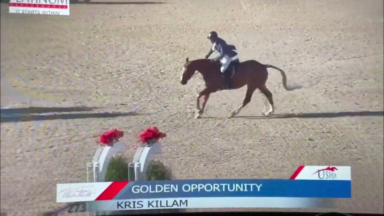 Golden Opportunity USHJA international Derby finals 2022 FOR SALE YouTube