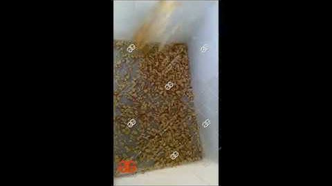 Peanut Cutting Machine Video/Peanut Slicer Machine