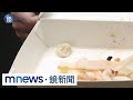 燒臘飯吃到「別人咬過口香糖」！當事人怒喊：太噁心｜鏡週刊Ｘ鏡新聞