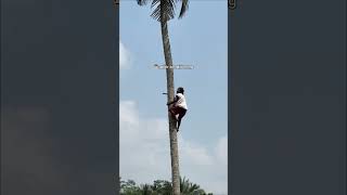 Belom Pernah Minum Es Kelapa Selama Ini