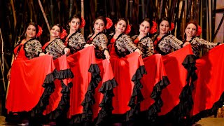 Senorita (Flamenco dance) done at AIOC 2023