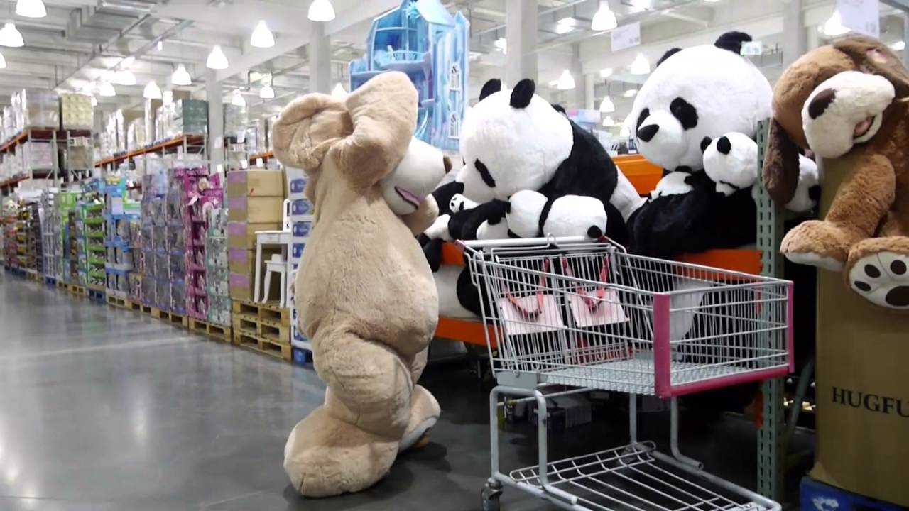 衝撃スクープ コストコでクマがパンダを買ってた件 Youtube