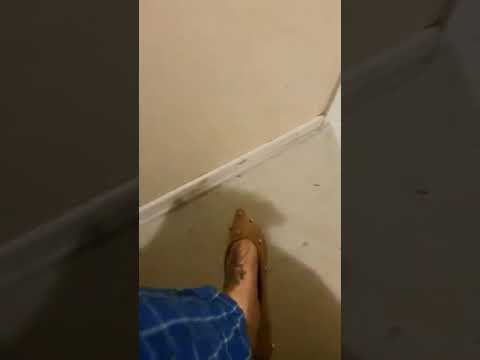 Shoeplay Heather 4