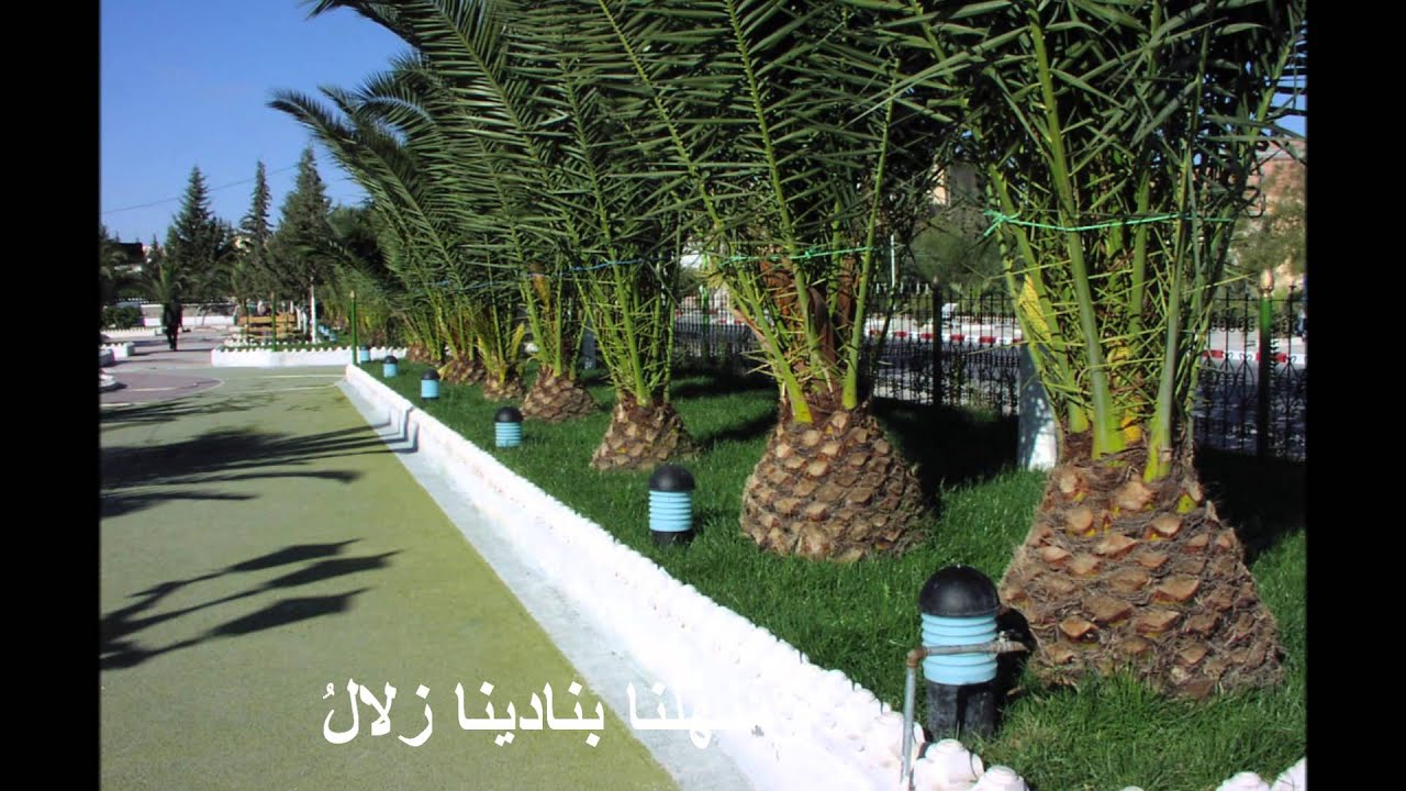 احمد حاج عزام رئيس بلدية حمام السخنة