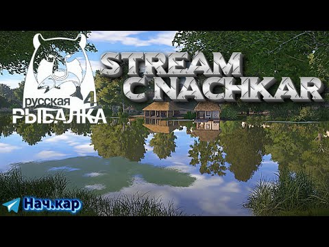 Видео: Русская Рыбалка 4(На основе)_Добиваем уровень и отправляемся на карпа