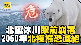 【精選】北極億萬年冰川「因暖化加速消融」驚險在眼前崩落！2050年恐無海冰「全球面臨滅絕危機」！？｜聚焦全世界｜舒夢蘭