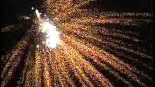 Fireworks - Beehive Shell - firefly stars with silver flying fish