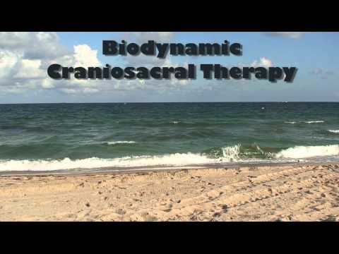 Biodynamic Craniosacral Therapy And The Human Energy Field - David N. Zimmer - Divine Wind Wellness