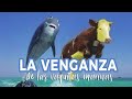 La Venganza de las Vaquitas Marinas | Albina quiero ser 🐬