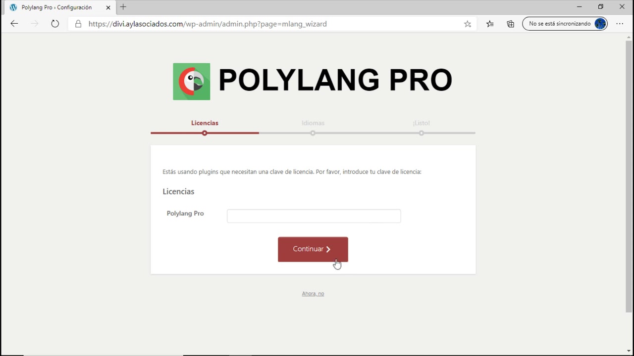 Instalación de Polylang Pro - YouTube