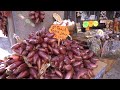 La cipolla rossa di Tropea