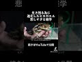 生き残る為に進化したヒキガエルの悲しすぎる雑学 #shorts